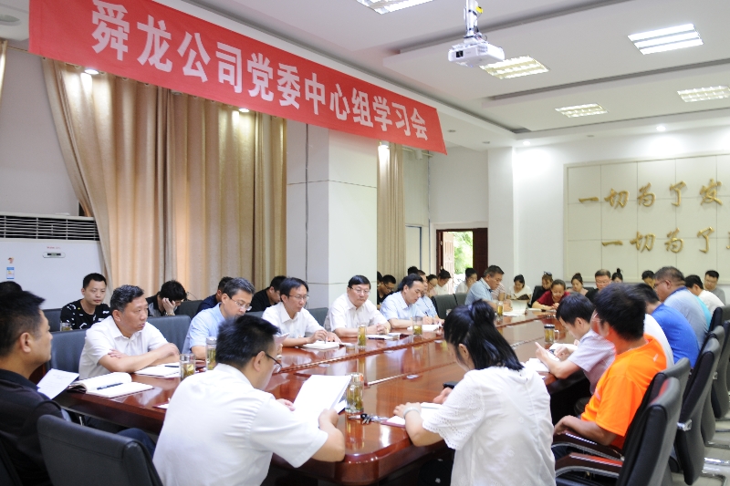 舜龍公司召開“講忠誠、嚴紀律、立政德”專題警示教育動員會